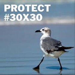 Everyone needs to be aware of this. There is a Plan to Seize 30% of ALL Land and Water on Earth by 2030, known as the 30x30 UN Agenda. “The word ‘Private Property’ does not matter anymore to these people…”