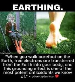 “When you walk barefoot on the Earth, free electrons are transferred from the Earth into your body, and this grounding effect is one of the most potent antioxidants we know of.” -Dr Mercola. 