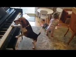 Nobody has ever had as much fun at a party as these two are having at this party.