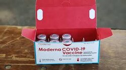 The Irish government has vowed to mass arrest citizens who refuse to take the mRNA jabs during the next pandemic.