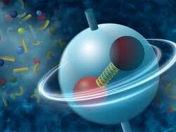 The magical theory of gravity is a very selective force. Strong enough to hold 321,000,000 cubic miles of water to a spinning space ball but weak enough to let birds and bugs fly freely through the air.