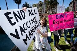 On average, only 15% of people refused the COVID vaccine. 15% who had the courage to stand firm, think for themselves, and say f—k no! That 15% showed real strength and conviction, staying true to their values!