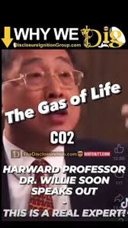 CO2 is known as the gas of life according to this Harvard professor - the more CO2 we have the more life there can be on the planet.