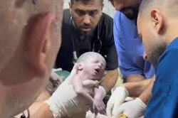 This Baby LIVED 2 DAYS IN GAZA - 2 DAYS! Hanin Al-Ghora, a Palestinian baby, was killed on the second day of her life in an Israeli attack on Al-Majd Waseela School.