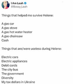 Things that helped me survive Helene: