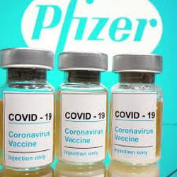 Pfizer Stopped Testing their COVID Vaccine on Animals Because they Kept Dying.