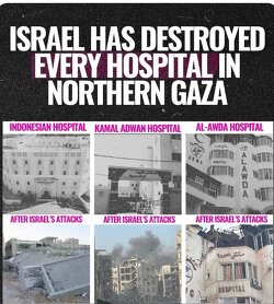 Israel has destroyed every hospital in Northern Gaza. Let this sink in. 