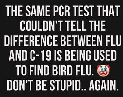 The same PCR test...