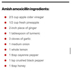 AMISH AMOXICILLIN RECIPE: