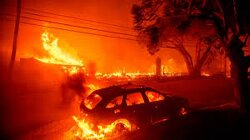 WEF Insider Reveals LA Wildfires Were Engineered to Seize Land for 15-Minute Cities