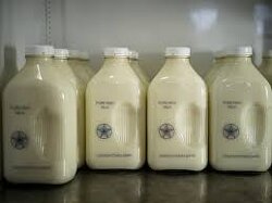 Raw milk wasn’t banned for your health—it was targeted by the Rockefellers in the 1900s to crush small dairy farms and boost their dairy empire profits. Power, not safety, pasteurized the industry.