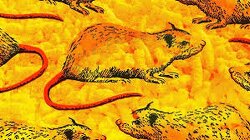 The yellow dye in Cheetos turns mouse skin TRANSPARENT. The level of toxicity in our food supply is shocking.