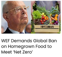 The World Economic Forum (WEF) is demanding that global governments enforce bans on members of the general public growing food at home in order to supposedly lower “emissions.” The globalist organization claims that homegrown food contributes to “climate change.” The WEF argues that banning homegrown food will help governments comply with their targets for meeting “Net Zero” by 2030.