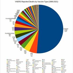 VAERS data on all vaccine deaths from 1988 to 2021.  Covid vaccine deaths in 1 year are equivalent to deaths of all other vaccines in 33 years.