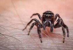 Just in case you had a bad day.LoL.