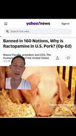 Pork in America is being fed drugs so toxic they’re even illegal in China  “There's this drug Ractopamine that's banned or restricted in 160 countries, but guess where it's legal? The good old USA.”