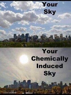 It's really very clear ( or sadly not so clear as is the case).