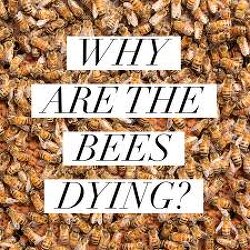 So THIS is why the bees are all dying. And if it's so effective at killing bees, what's it doing to our food and water supply?
