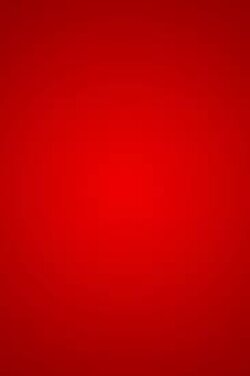 Modern humanity has committed a crime against Palestine; God will judge everyone for this.