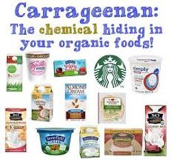 Carrageenin, a common food ingredient, shows a darker side.