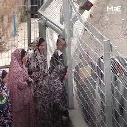 The video is 7 years old. An Israeli Soldier to a Pal€stinian Woman: ”Go back! animal.... I'll drag you outside..