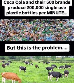 Cows' 'farting' is the world's problem. 