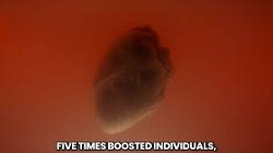 Crimes Against Humanity.   The goal was to kill everyone slowly, not immediately, as it would be too obvious. “This is what the human heart looks like after five ‘Covid mRNA Booster Shots’…permanently damaged and riddled with fatal micro-scars…”