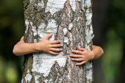 Why is touching a tree so powerful?