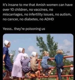 The incredibly healthy Amish mothers!