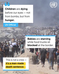 GAZA | UN: “Children are dying before our eyes.” UN warns of “catastrophic hunger” as over 2 million people in Gaza face severe food insecurity. 80% of reported starvation deaths are children.