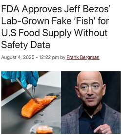 In a move that has raised serious concerns about the future of food safety, the U.S. Food and Drug Administration (FDA) has approved lab-grown “salmon” for human consumption. The new fake “fish” product is produced by the Jeff Bezos-funded ag-tech startup Wildtype.