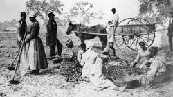 Jews owned the vast majority of slave ships and were the primary participants in Western slave trading. Do black people even know this? I think jews should pay black people reparations for what they did.