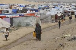 This is what Israel is doing to camps and shelters in Gaza. They’re families — men, women, and children — driven from their homes by Israeli bombs, now clinging to life in tents amid the ruins. They are civilians, and they are being punished for existing.