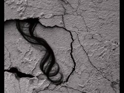 A girl from Gaza: “This is how we write history, and this is the ink of our words. Here is our land, here is Palestine.”