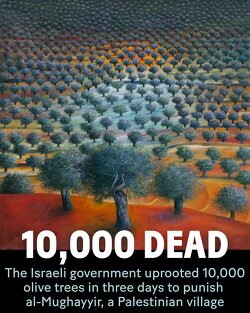 To the Israeli government, even Palestinian trees pose a so-called security threat.   This past weekend, in just three days, the Israeli military uprooted 10,000 olive trees in al-Mughayyir village, in the occupied West Bank. Some of the trees were over 100 years old.