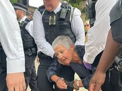UK Police arrested a blind (on a wheelchair) for holding a placard: “I Oppose Genocide.” This Is Western Democracy