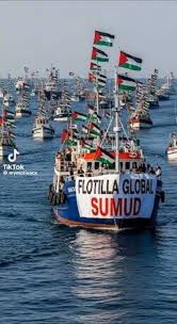 The Freedom Flotilla has over 50 boats, from 44 countries, spanning 6 continents. The largest in history: To break an illegal 18-year Israeli siege on Gaza, to feed children, to stop genocide, and the western media is not covering. And Western ‘leaders’ are silent.