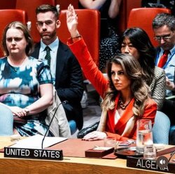 This is all that's letting the genocide continue in Gaza.  Today, the United States vetoed a United Nations Security Council resolution calling for a ceasefire in Gaza, just like they have vetoed every previous vote.