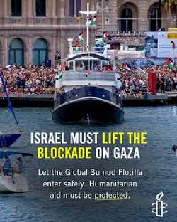 We saw jews openly stealing and blocking the entry of aid for the Palestinians in Gaza for months, and now they demand the flotilla to deliver the aid to them?