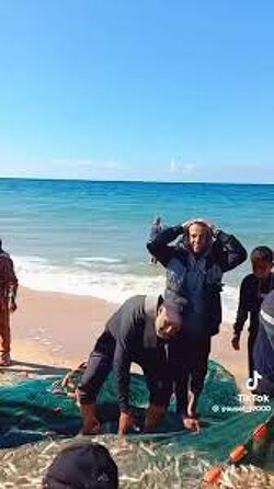 The fishermen of Gaza got a chance to fish because the Israeli navy is too busy blocking the Sumud Flotilla. Look at the joy on their faces.