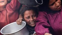 98% of Israel population supports genocide.