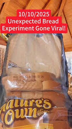 This is actually insane  American kept this loaf of bread she bought from Walmart for “an experiment”  She wanted to see how long it would last before molding, She bought it May 15,2024  It has now been 17 months. 1 full year and 5 months and still no mold… it still is perfect.