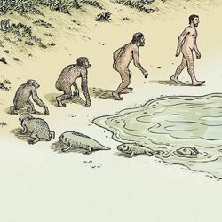 This is the biggest fairy tale of them all.