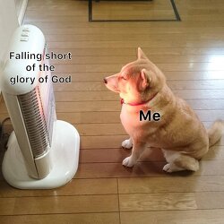 I am a sinner in need of constant mercy and forgiveness. Only by the grace of God administered through Jesus Christ do I stand with the hope of eternal life.