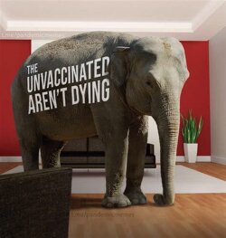 Shall we talk about the elephant in the room?