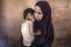 Israel's atrocities have reached a singular milestone: uniting every part of the political spectrum against them.