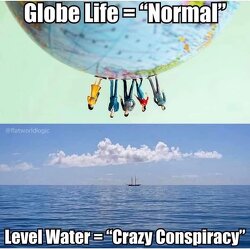 And they think we're the weird ones. LOL.