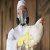 FDA says it\'s preparing for a bird flu pandemic, killing one in four.