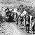 Israel has been poisoning wells in Palestine since the 1940s.’ This is well documented.
