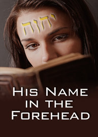 His Name is Wonderful | Part 4 - His Name in the Forehead 